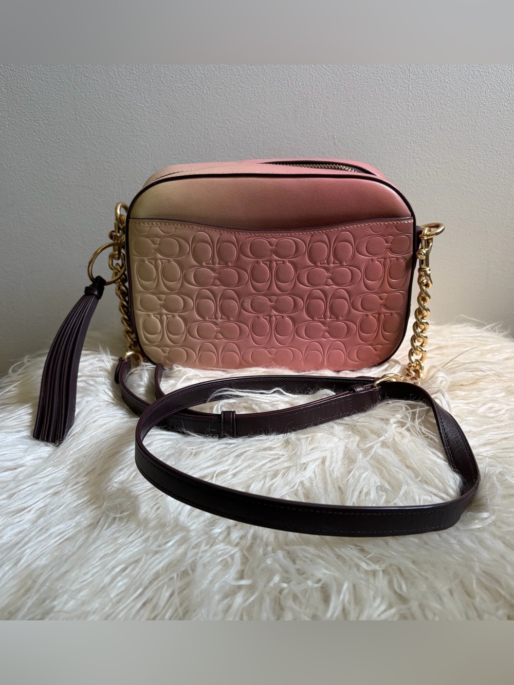 Coach Ombre Pink Leather Camera Crossbody Bag